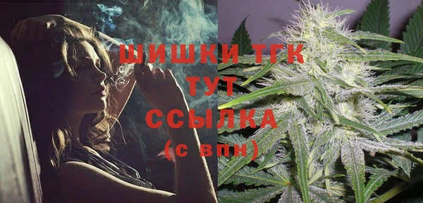 стафф Верхний Тагил