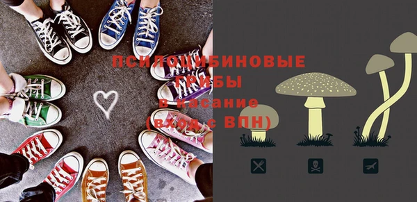 стафф Верхний Тагил