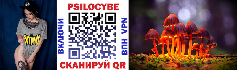 Псилоцибиновые грибы MAGIC MUSHROOMS  наркотики  Саратов 